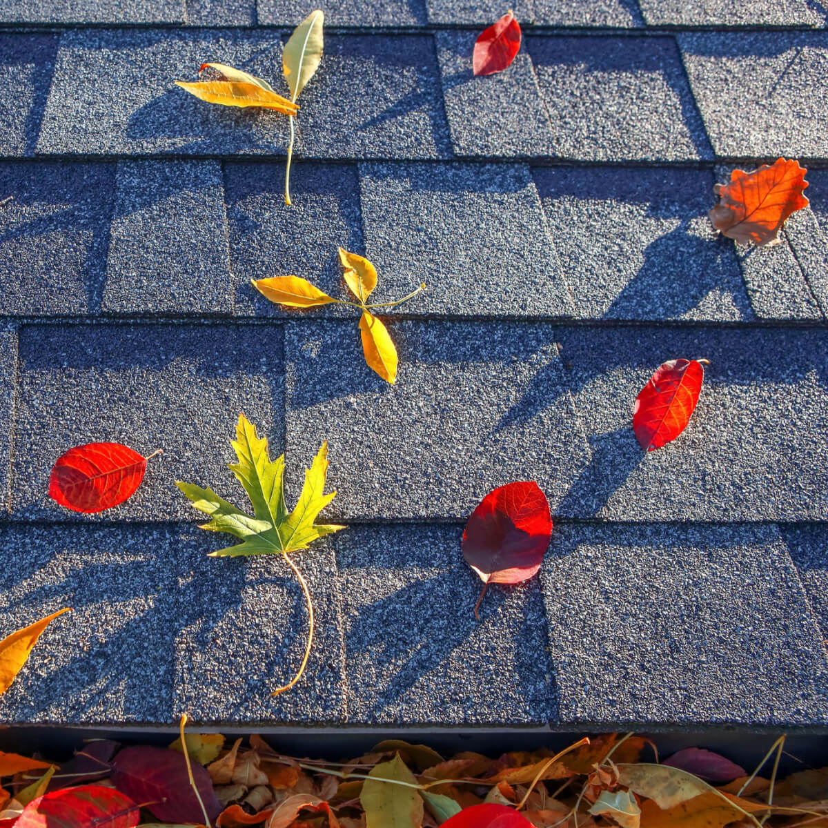 A DFW roof in need of a fall Dallas roof inspection.