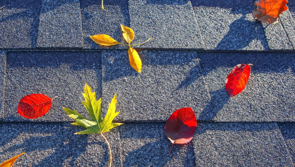 The Importance of a Fall Dallas Roof Inspection