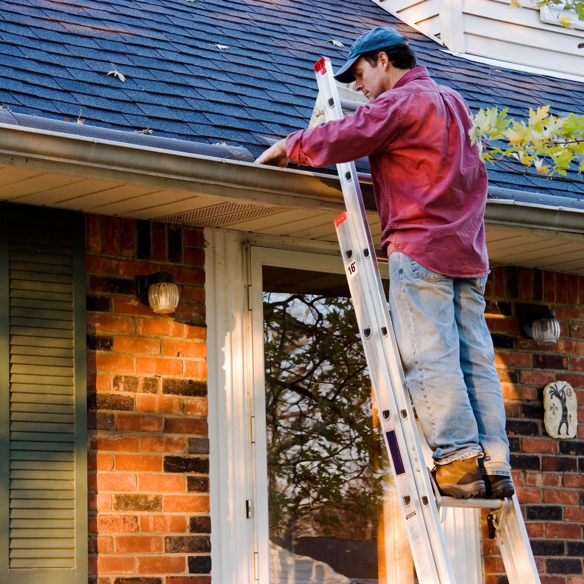 Caring for your newly replaced Dallas roof will prolong its life.